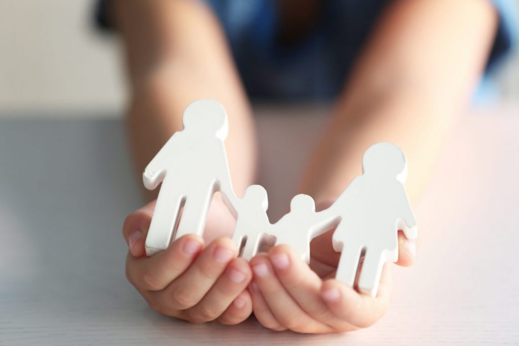 Family Lawyer